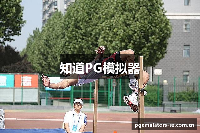 知道PG模拟器